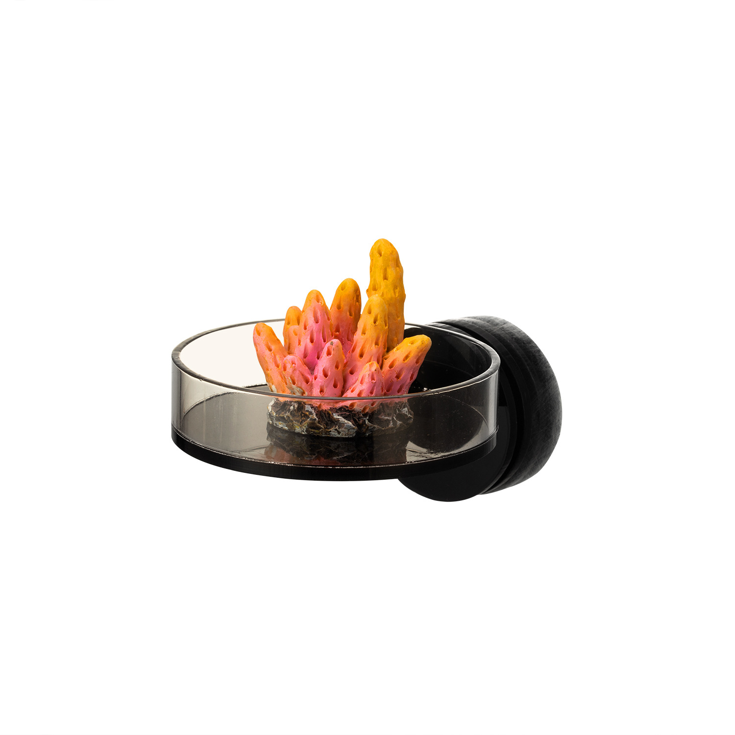 Marine Aquarium & Regional Centre - Marine Sources 70mm Black Magnetic Coral