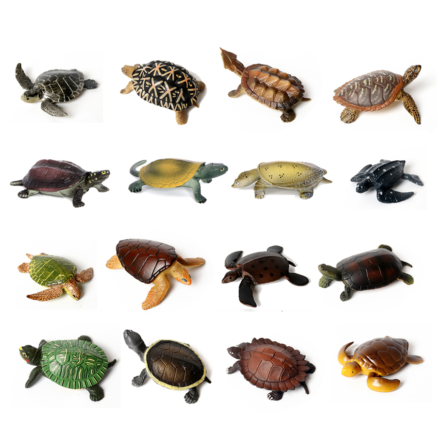 Marine Aquarium & Regional Centre - Realistic Miniatures Marine Life Sea Turtle