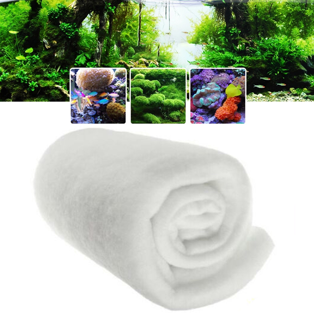 1PC Fish Tank 120cm X30cmx0.5c - Marine Aquarium Bacteria ulasan dan harga