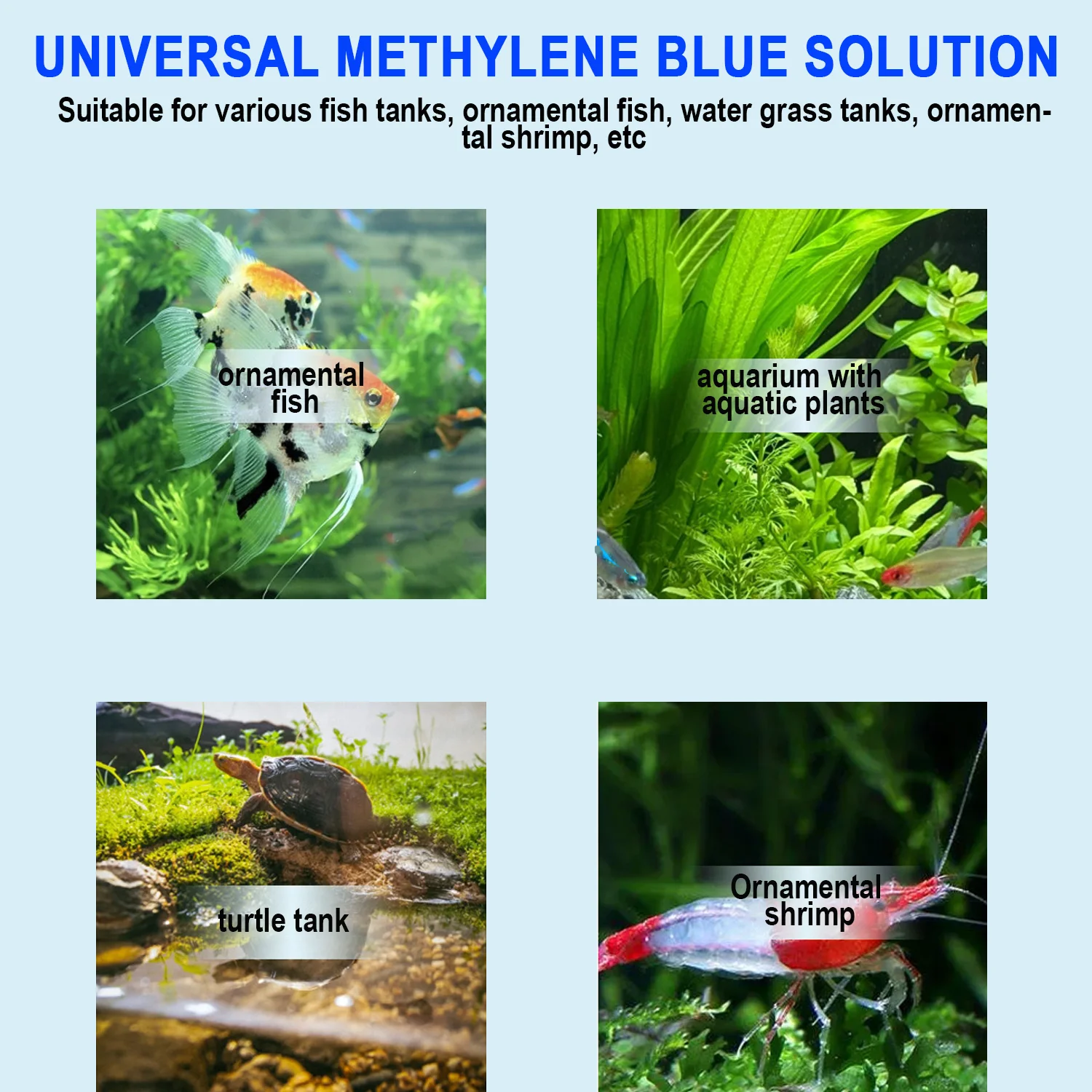 Methylene Blue Aquarium Fish T - Marine Aquarium Bacteria ulasan dan harga