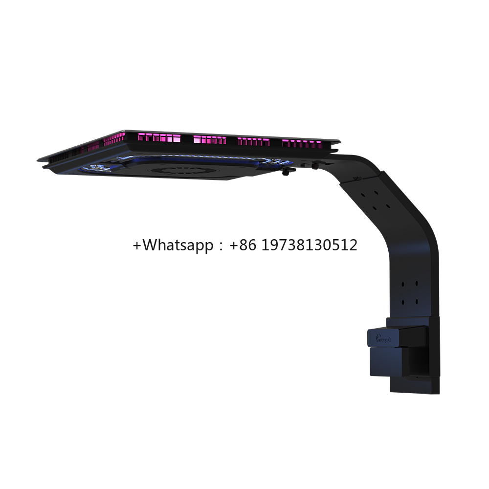 Ethereal Infinite E8-230 Multi - Marine Aquarium & Regional Centre ulasan dan harga