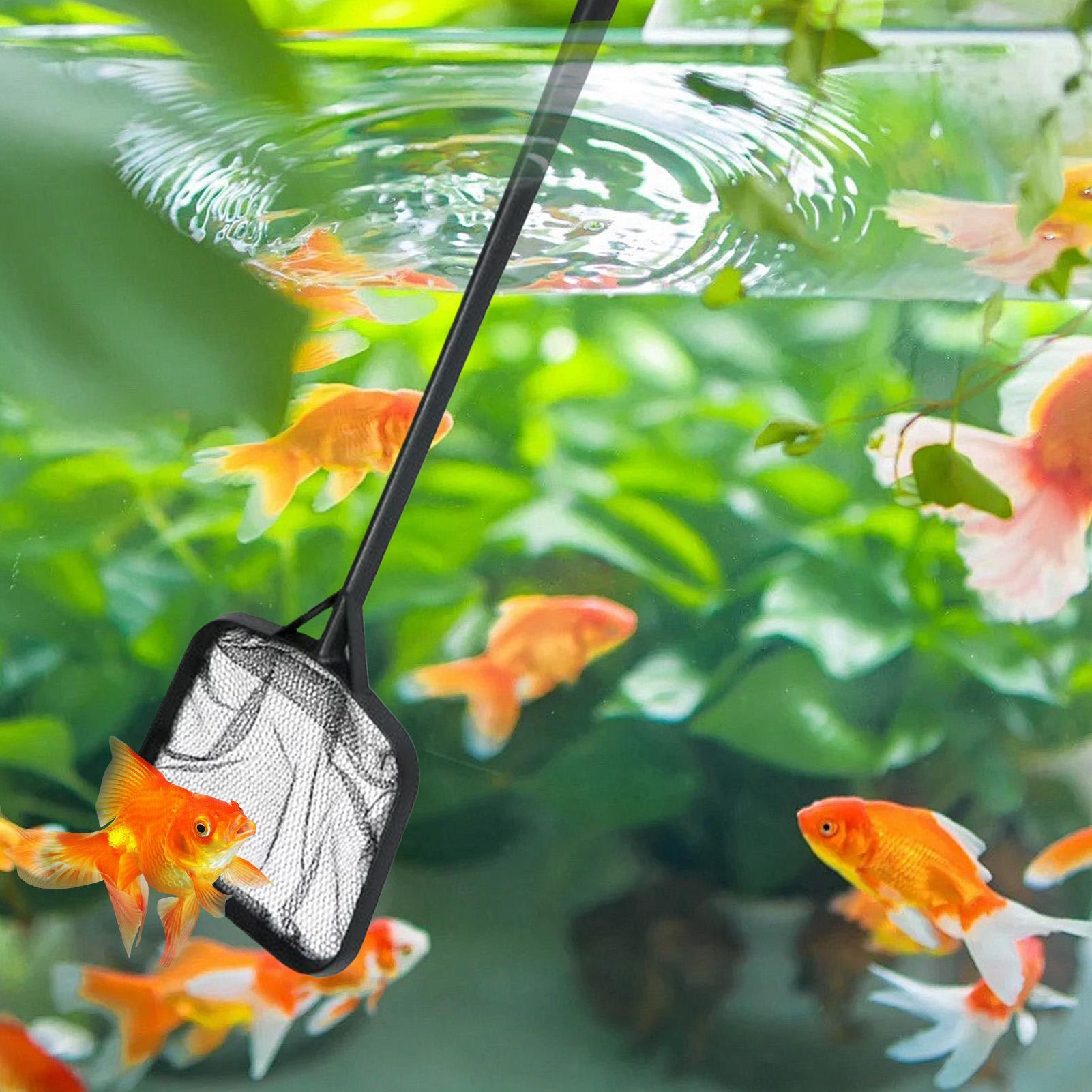Pool Nets for Cleaning Portabl - Marine Aquarium Equipment ulasan dan harga