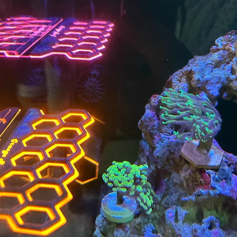 Aquarium Fluorescent Magnetic  - Coral Frag Plug ulasan dan harga