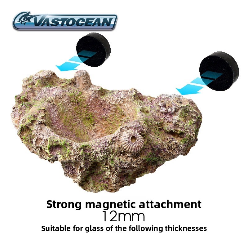 VASTOCEAN Magnetic Anemone Hol - Coral Frag Plug ulasan dan harga