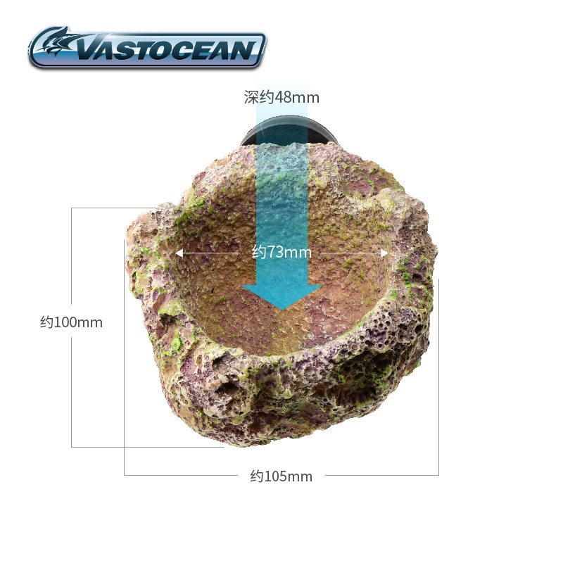 VASTOCEAN Magnetic Anemone Hol - Coral Frag Plug ulasan dan harga