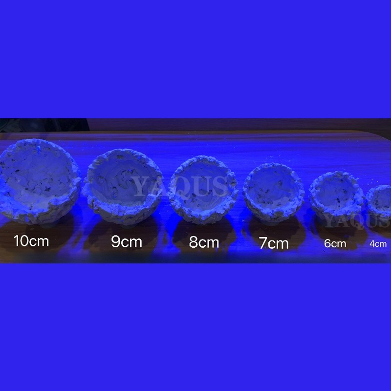New DIY Handmade Floating Magn - Coral Frag Plug ulasan dan harga