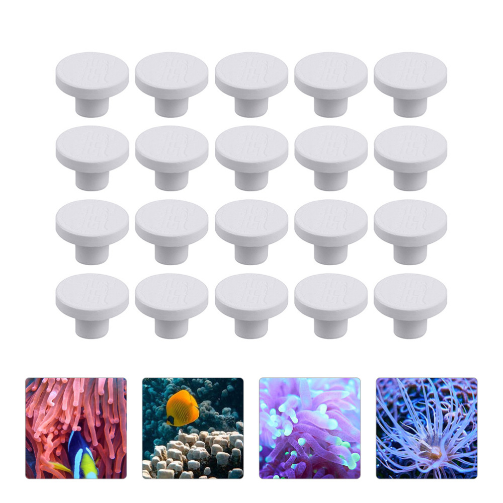 SPS Ceramic Coral Frag Plugs B - Coral Frag Plug ulasan dan harga