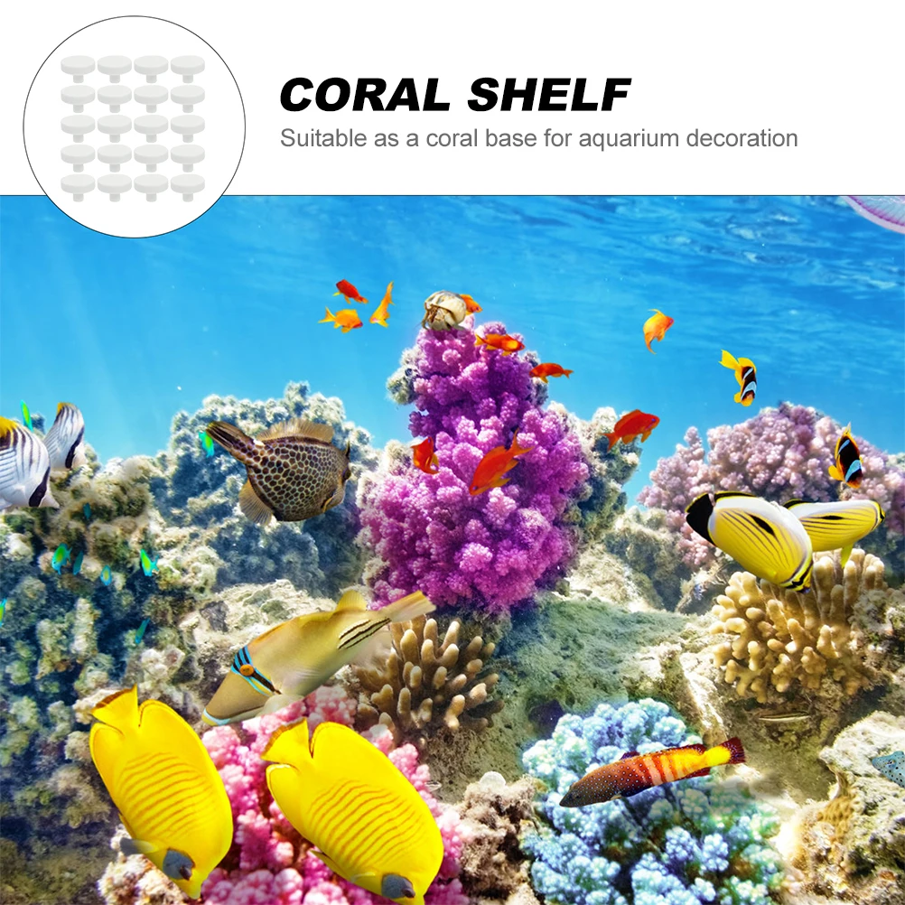 20Pcs Coral Glue Reef Safe Cor - Coral Frag Plug ulasan dan harga