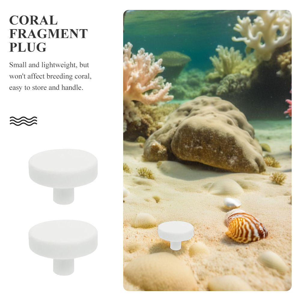 20Pcs Aquarium Coral Stand Cor - Coral Frag Plug ulasan dan harga