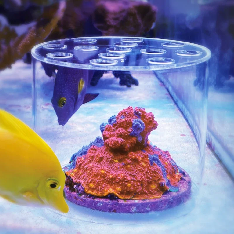 Vastocean Aquarium Arcylic Cor - Coral Frag Plug ulasan dan harga