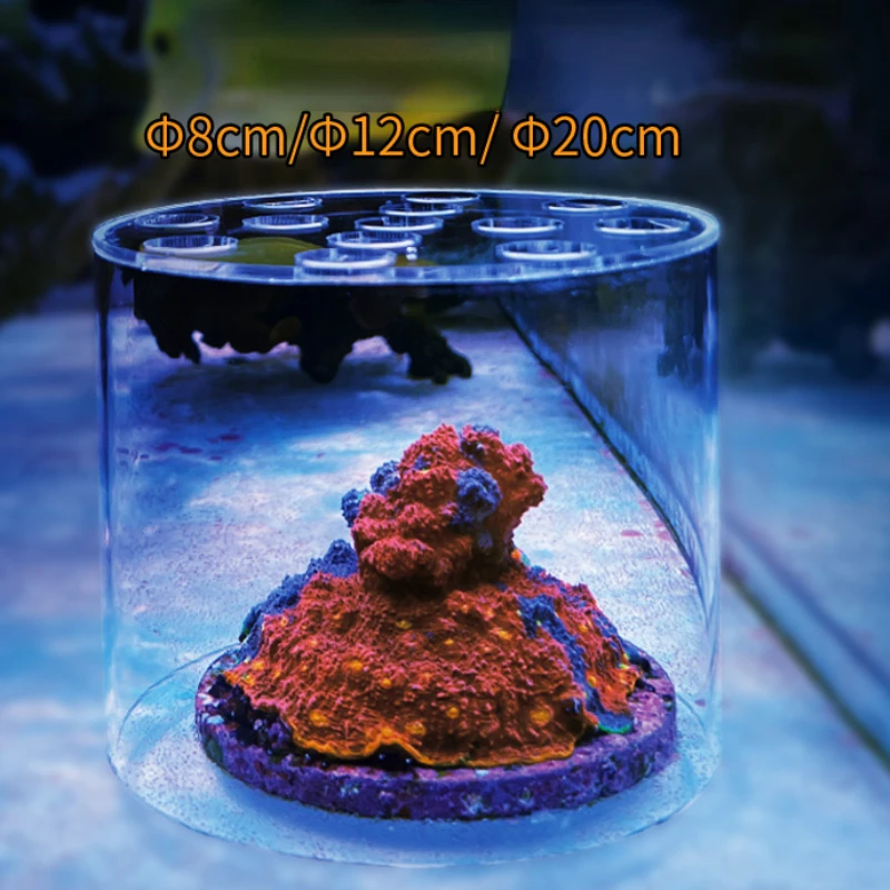 Vastocean Aquarium Arcylic Cor - Coral Frag Plug ulasan dan harga