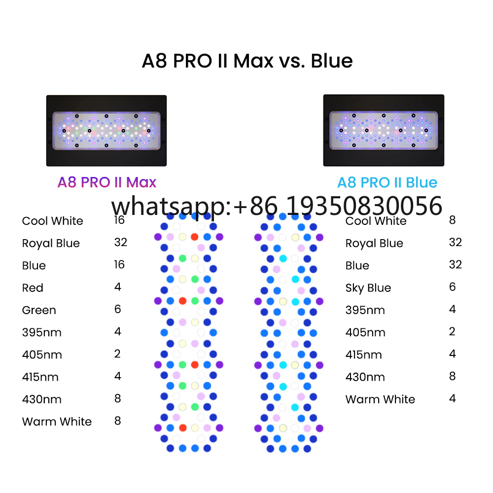 2026-A8 PRO II Max and Blue 24 - Marine Aquarium & Regional Centre ulasan dan harga