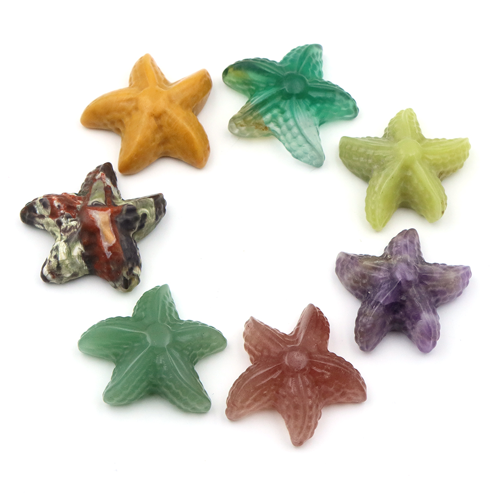 35mm Starfish Shape Statue Mar - Marine Aquarium & Regional Centre ulasan dan harga