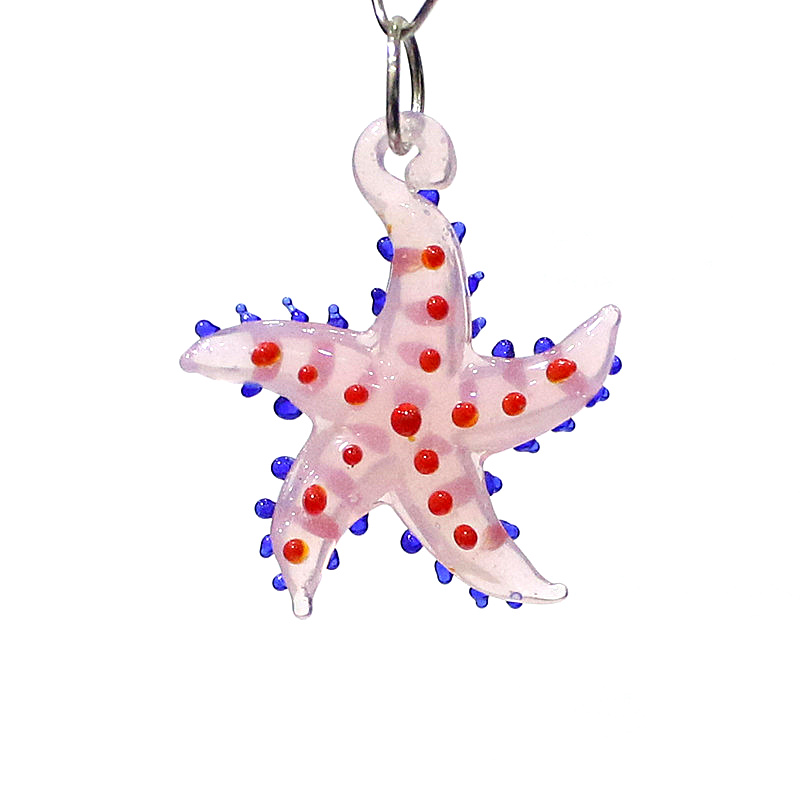 Cute Marine Animal Starfish Ch - Marine Aquarium & Regional Centre ulasan dan harga