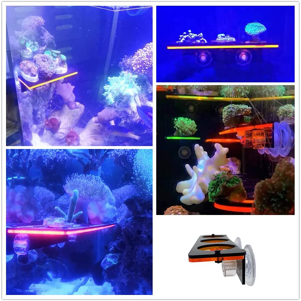Fluorescent Coral Frag Plug Br - Coral Frag Plug ulasan dan harga
