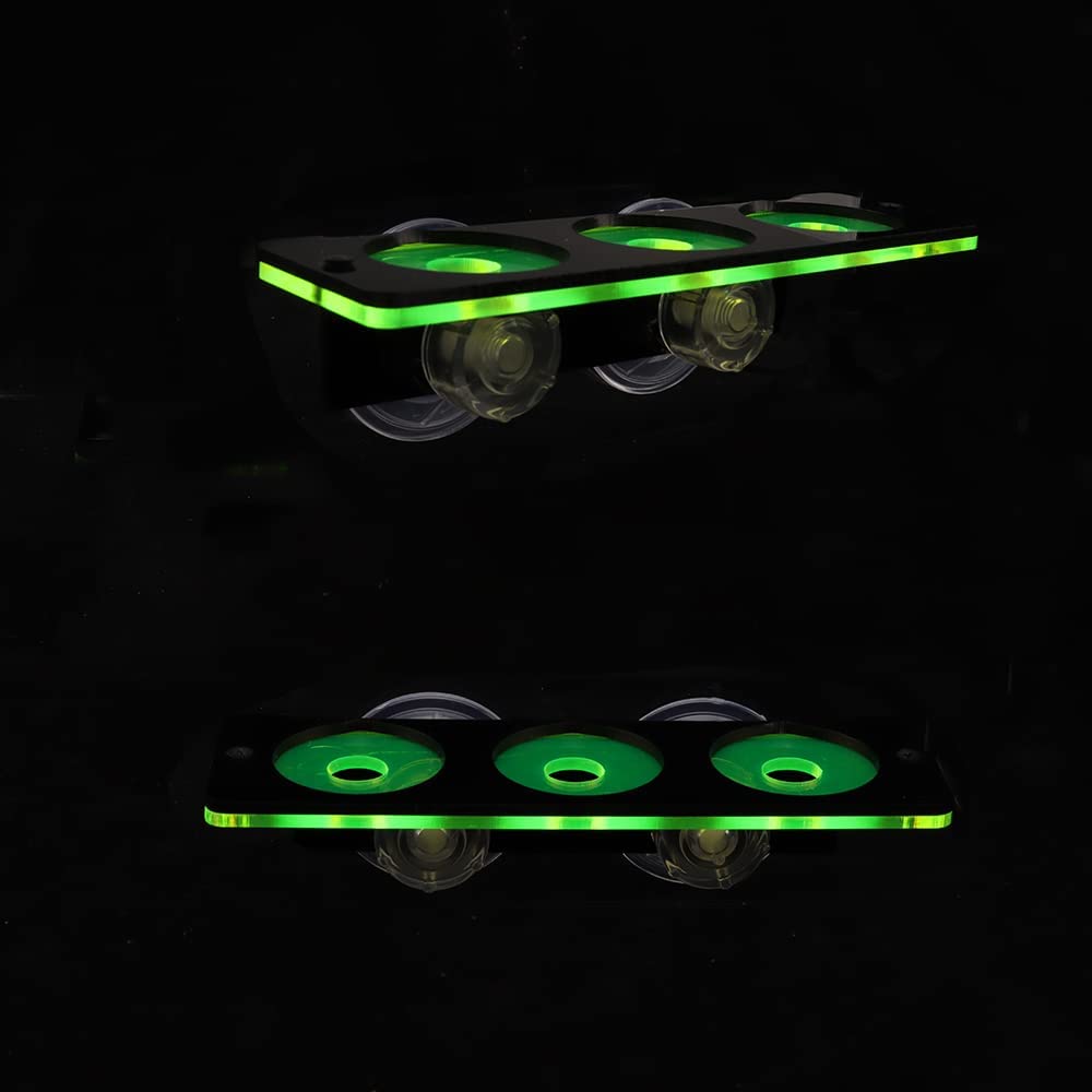 Fluorescent Coral Frag Plug Br - Coral Frag Plug ulasan dan harga