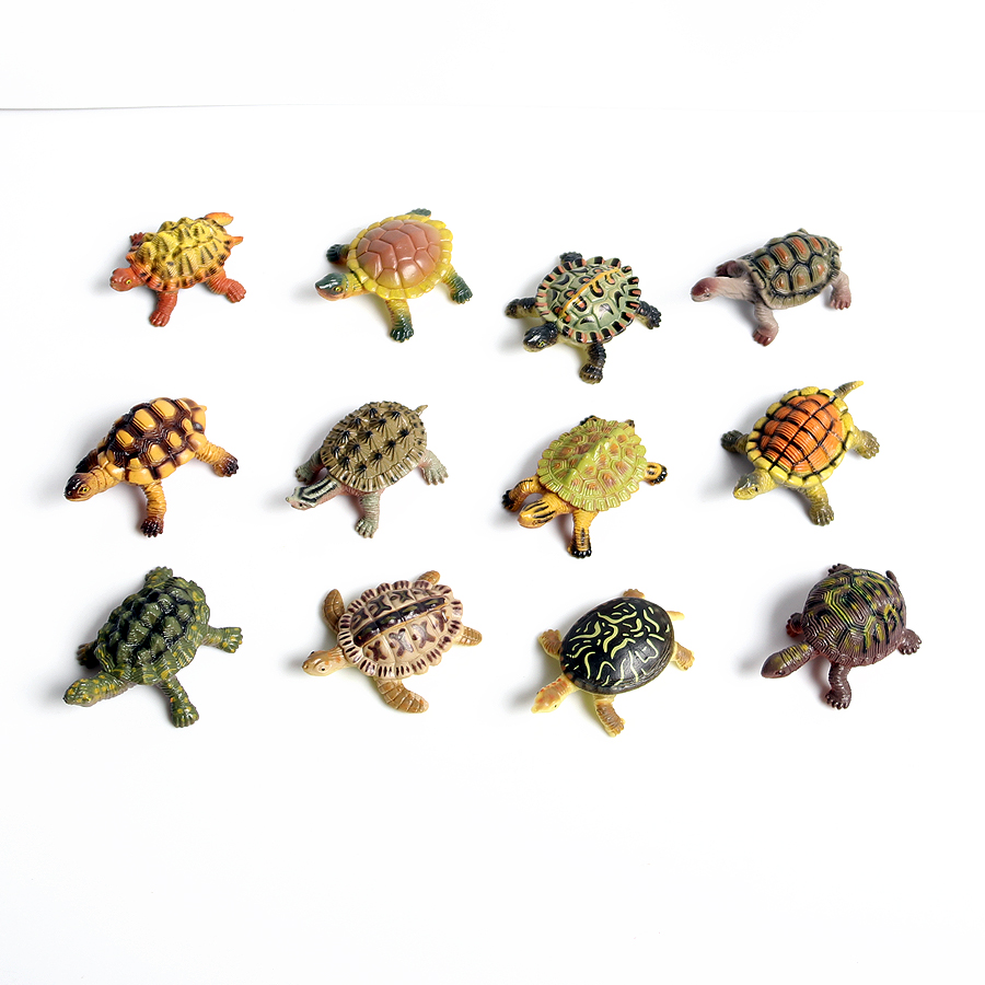 Realistic Miniatures Marine Li - Marine Aquarium & Regional Centre ulasan dan harga